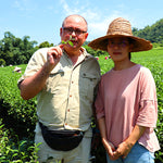 couples in green fields - Taihoku Tea